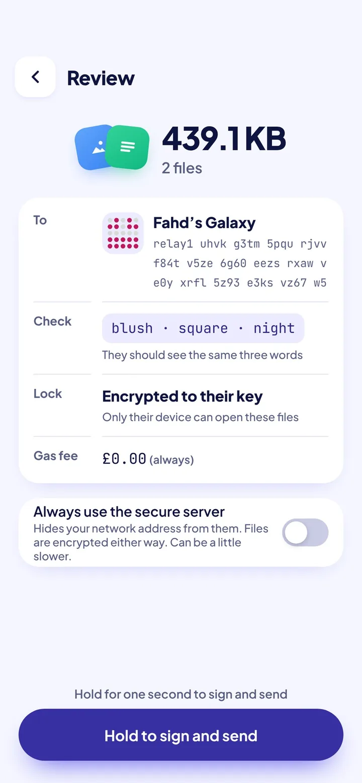 The Review screen on iPhone: two files, the address they go to, and three check words